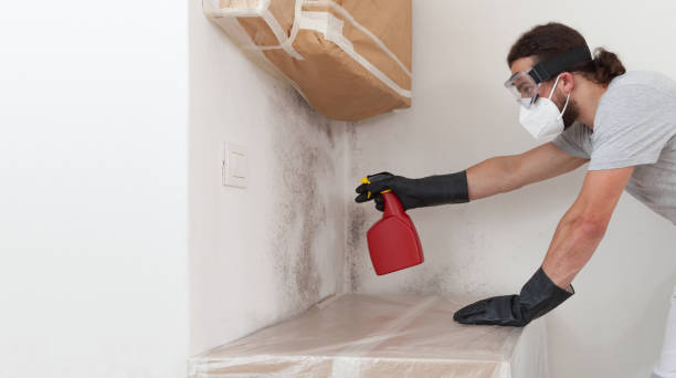 Professional Bathroom Mold Removal technician working in Glenview, IL